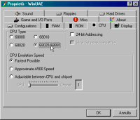 Per l'emulazione Picasso96, ricordatevi di settare la CPU a 68020+68881